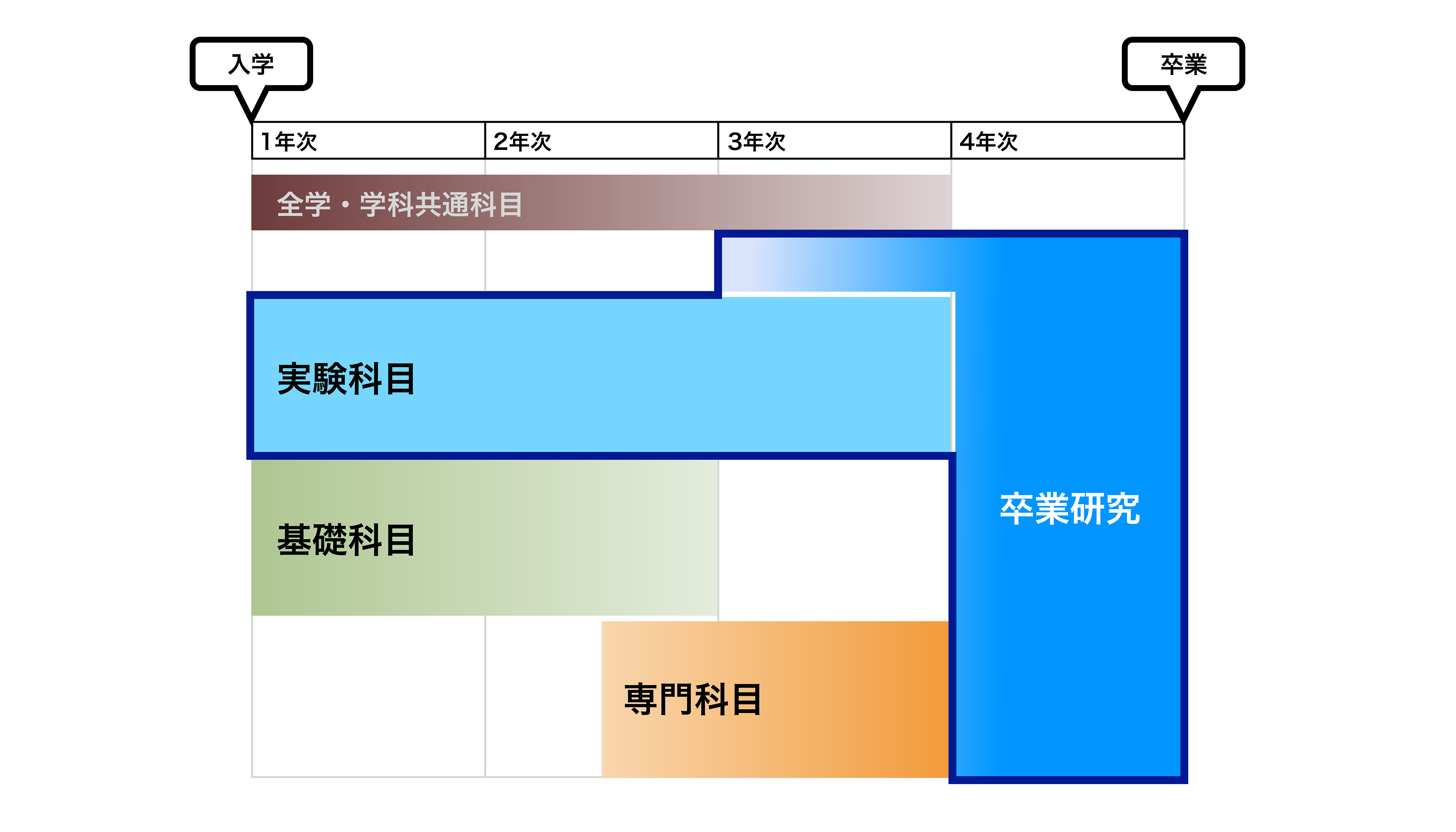 curriculum8