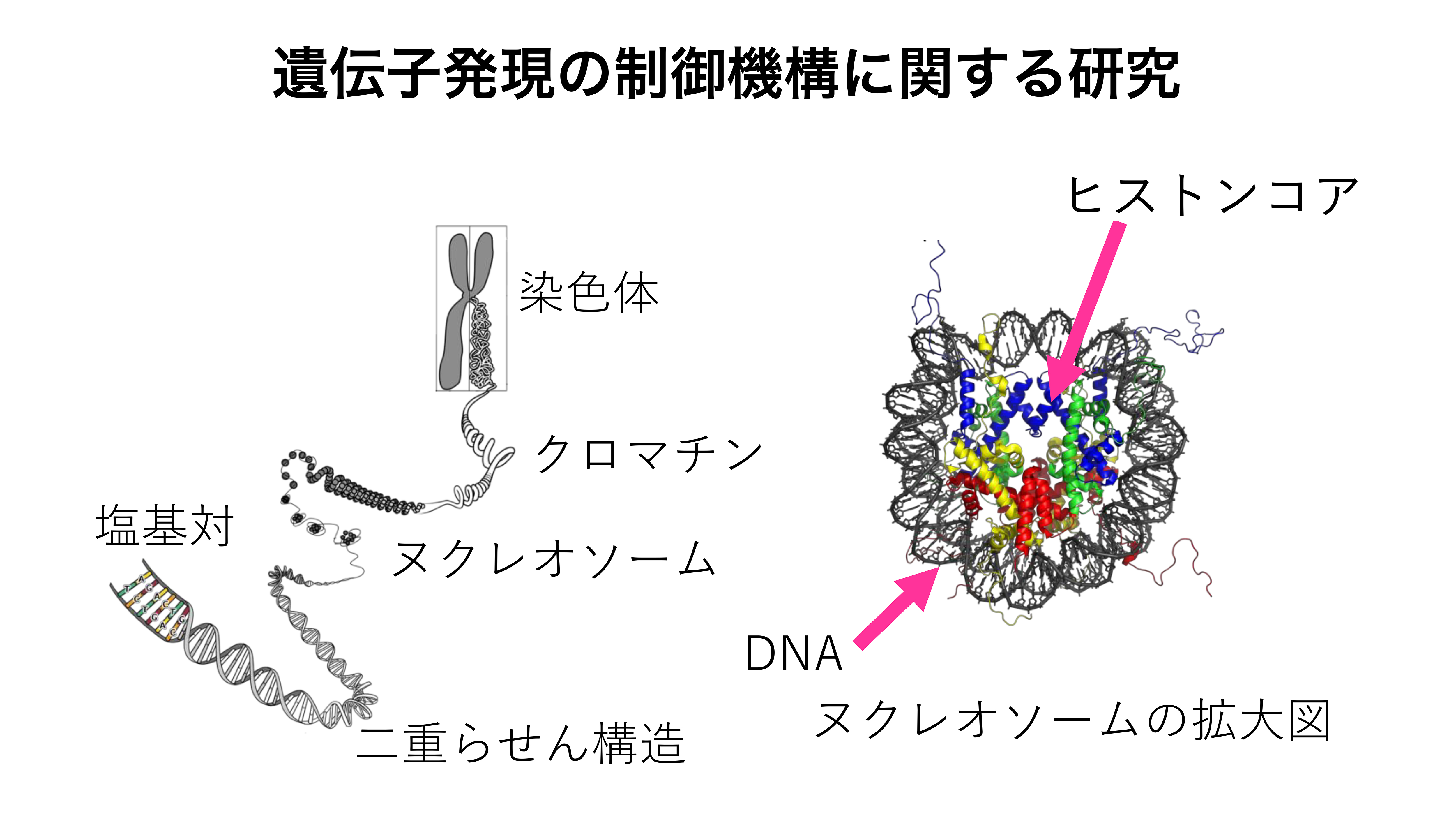 ms_research_outline